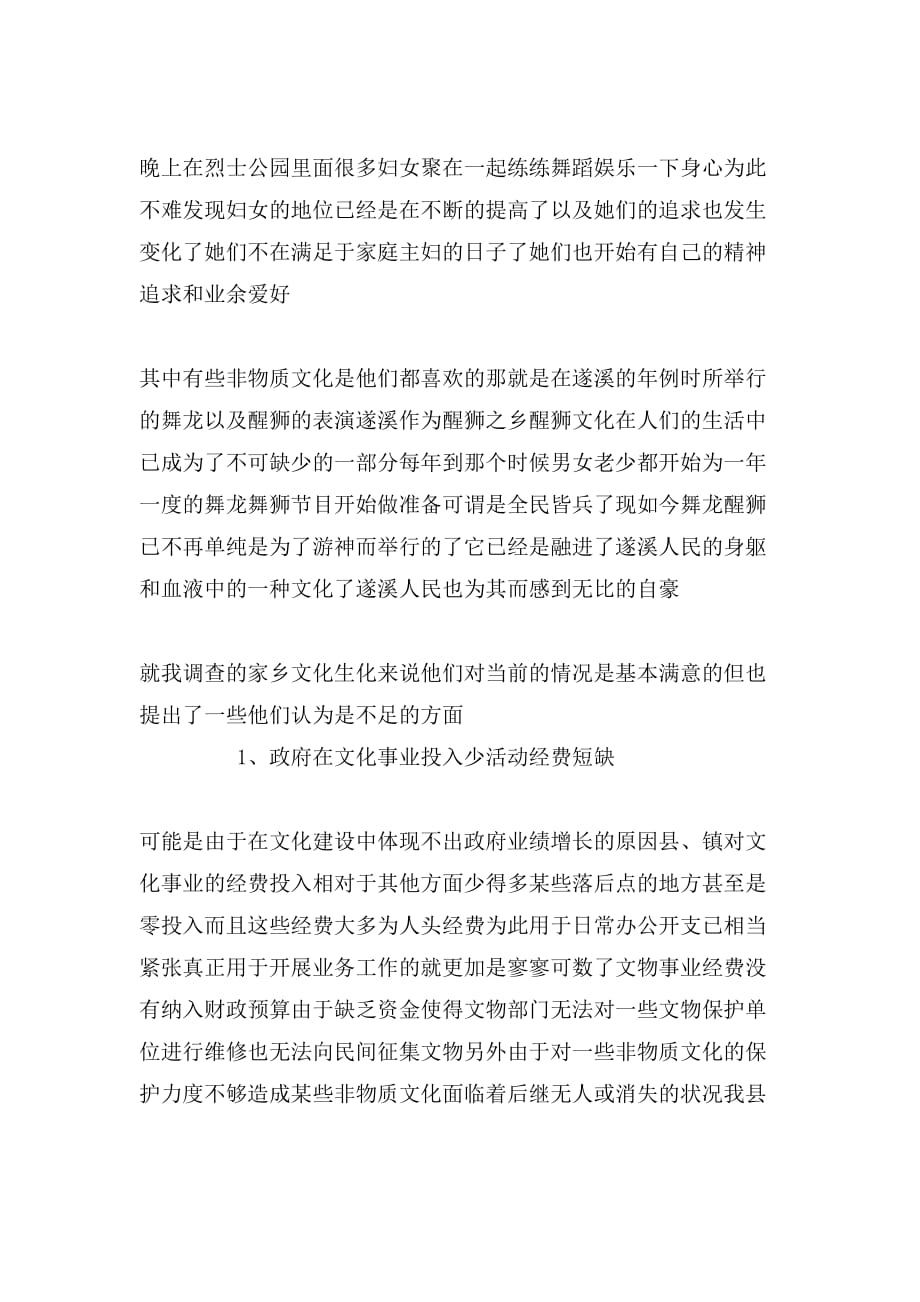 春节文化调查报告格式_第3页