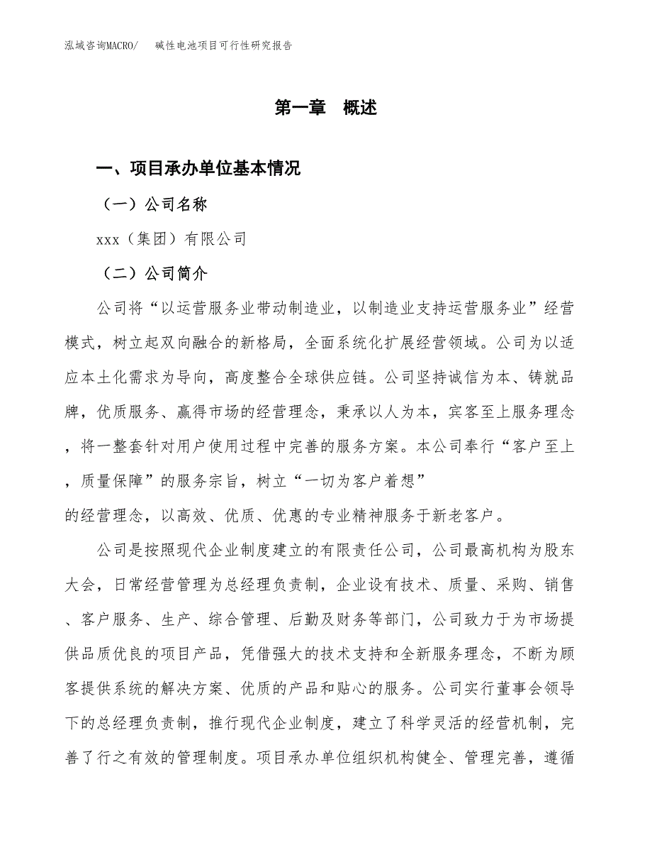 碱性电池项目可行性研究报告汇报设计.docx_第4页