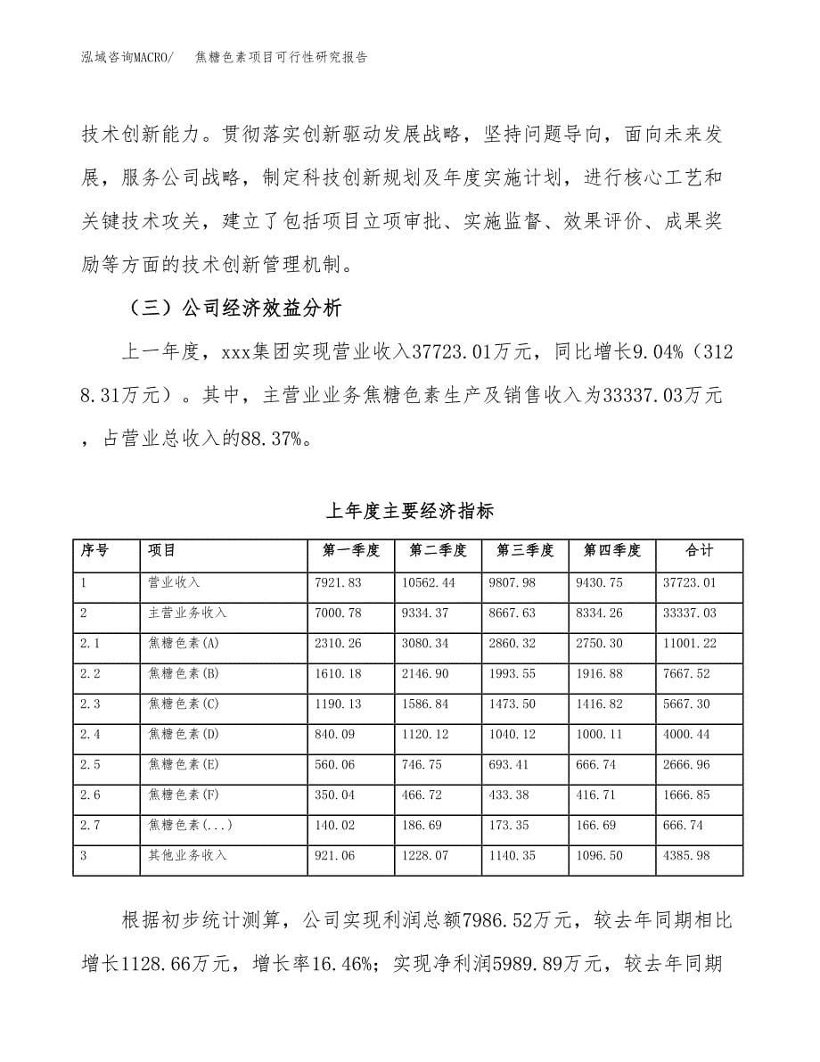 焦糖色素项目可行性研究报告汇报设计.docx_第5页