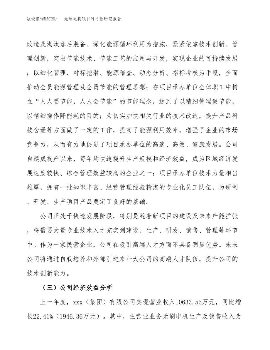 无刷电机项目可行性研究报告汇报设计.docx_第5页