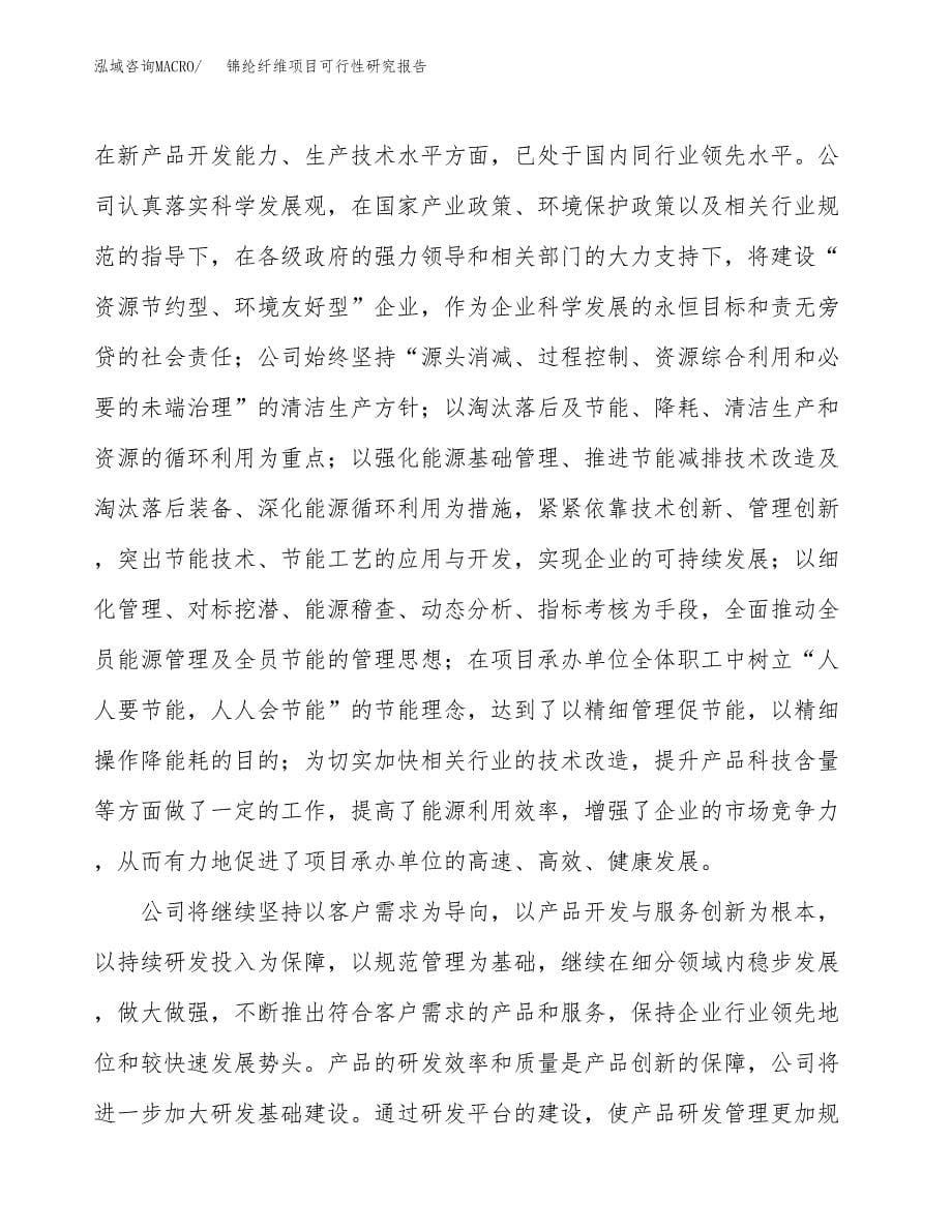 锦纶纤维项目可行性研究报告汇报设计.docx_第5页