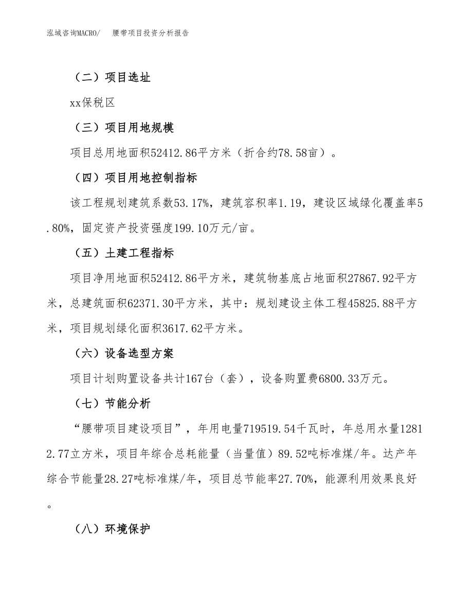 腰带项目投资分析报告（总投资19000万元）（79亩）_第5页