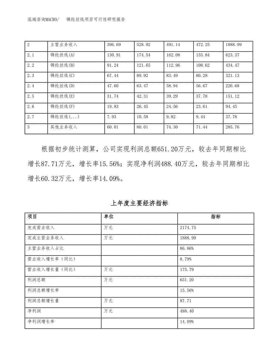 锦纶丝线项目可行性研究报告汇报设计.docx_第5页