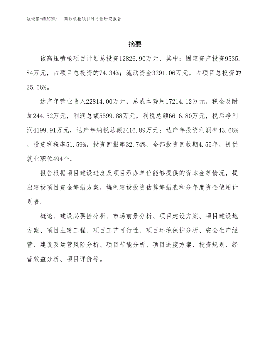 高压喷枪项目可行性研究报告汇报设计.docx_第2页