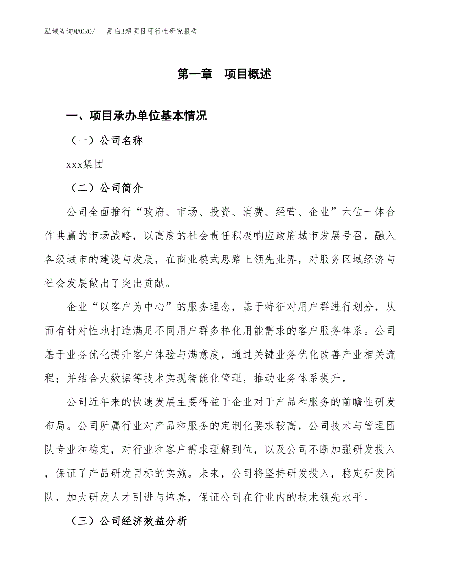 黑白B超项目可行性研究报告汇报设计.docx_第4页