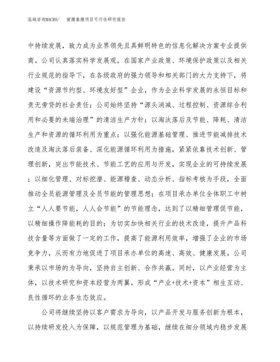 窗膜基膜项目可行性研究报告汇报设计.docx_第5页