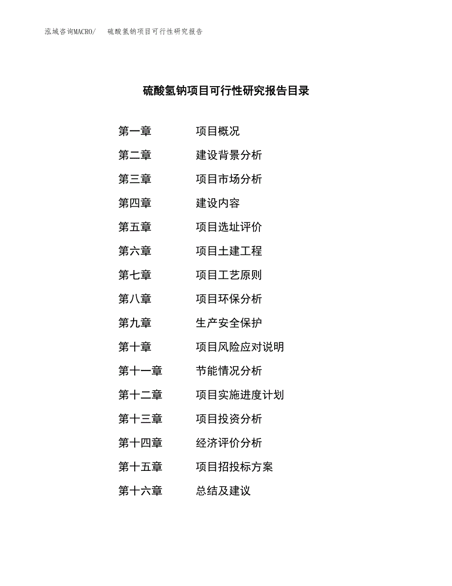 硫酸氢钠项目可行性研究报告汇报设计.docx_第3页