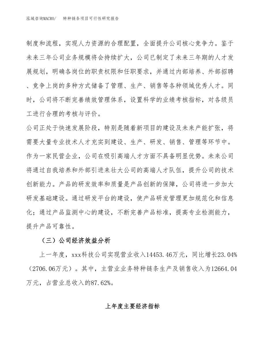 特种链条项目可行性研究报告汇报设计.docx_第5页