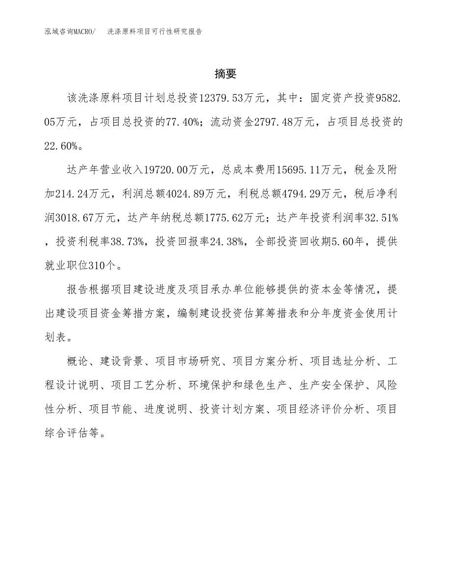 洗涤原料项目可行性研究报告汇报设计.docx_第2页