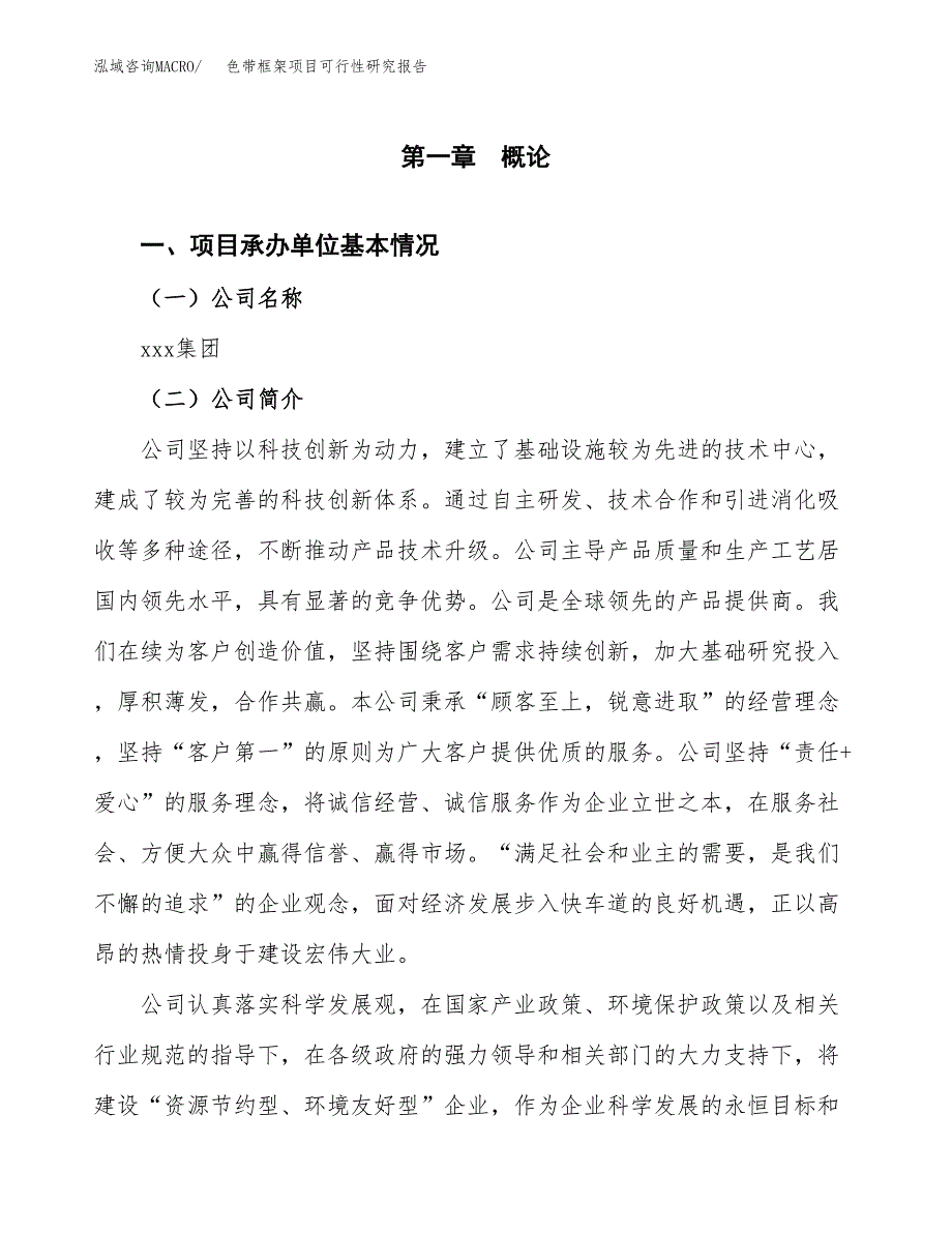 色带框架项目可行性研究报告汇报设计.docx_第4页