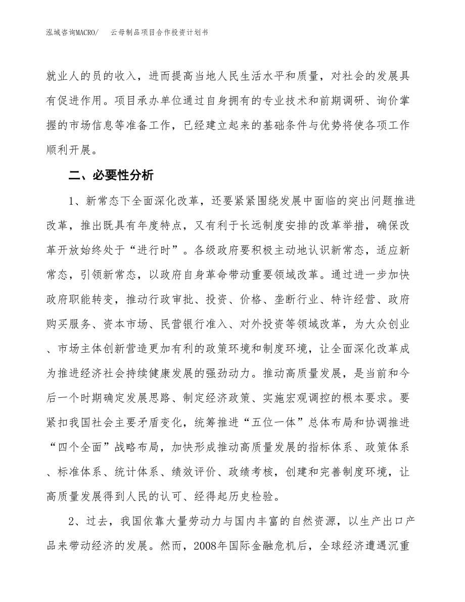 云母制品项目合作投资计划书.docx_第5页