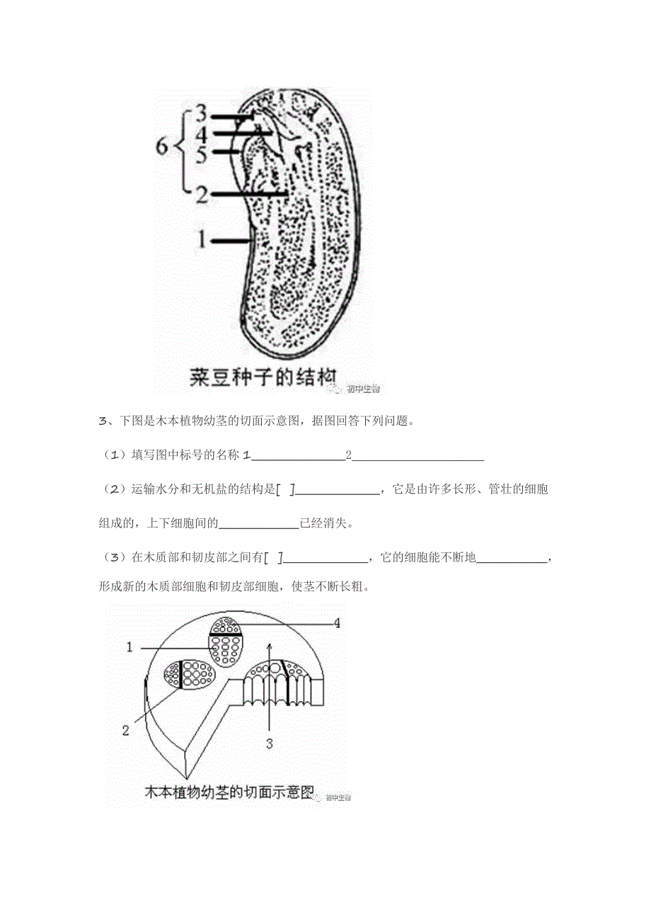 2017年人教生物-初中-常考识图题集_第2页