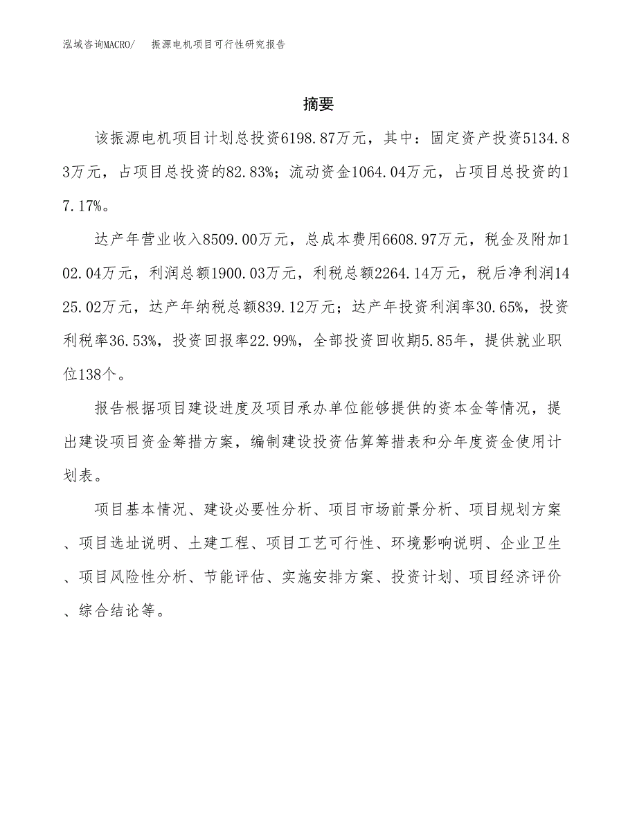 振源电机项目可行性研究报告汇报设计.docx_第2页