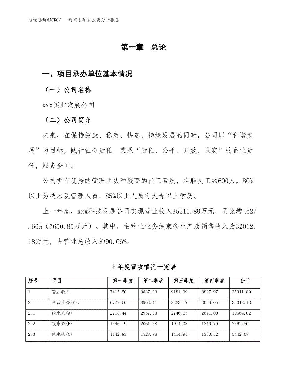 线束条项目投资分析报告（总投资15000万元）（65亩）_第2页