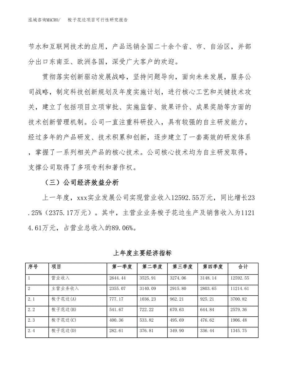 梭子花边项目可行性研究报告汇报设计.docx_第5页