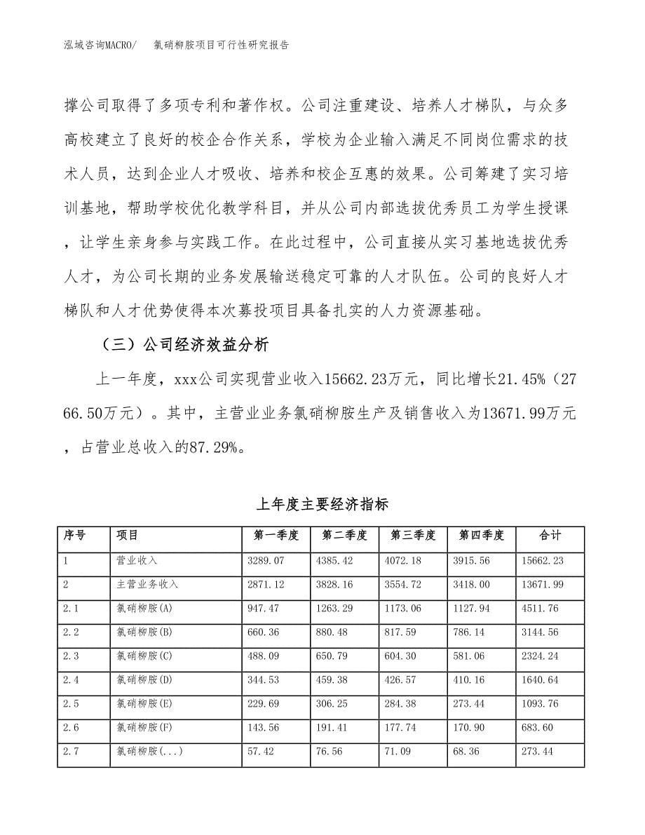 氯硝柳胺项目可行性研究报告汇报设计.docx_第5页