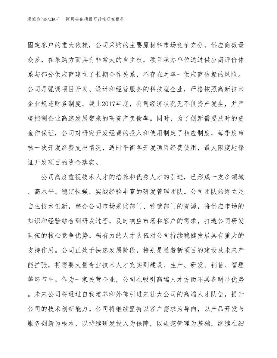 阿贝头孢项目可行性研究报告汇报设计.docx_第5页