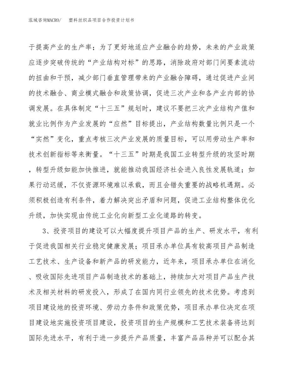 塑料丝织品项目合作投资计划书.docx_第5页