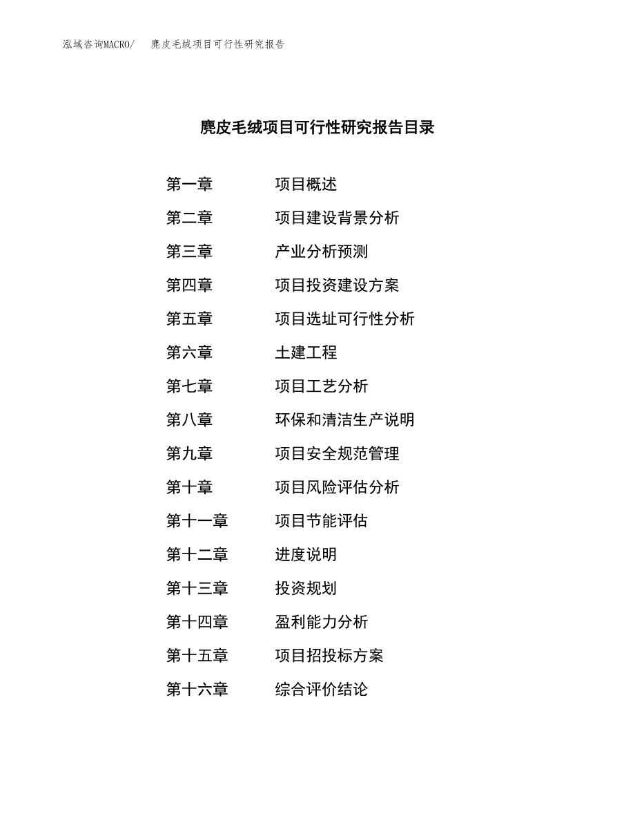 麂皮毛绒项目可行性研究报告汇报设计.docx_第3页