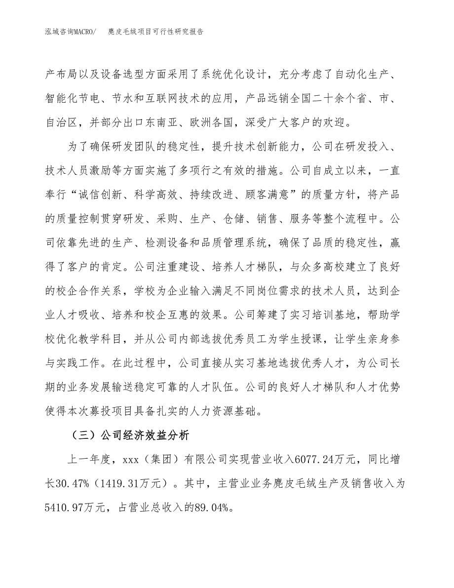 麂皮毛绒项目可行性研究报告汇报设计.docx_第5页