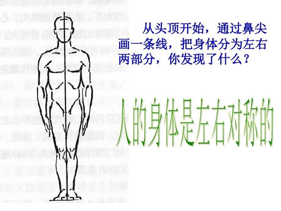 四年级科学上册课件-4.1 身体的结构｜教科版 (共15张PPT)(1)_第5页