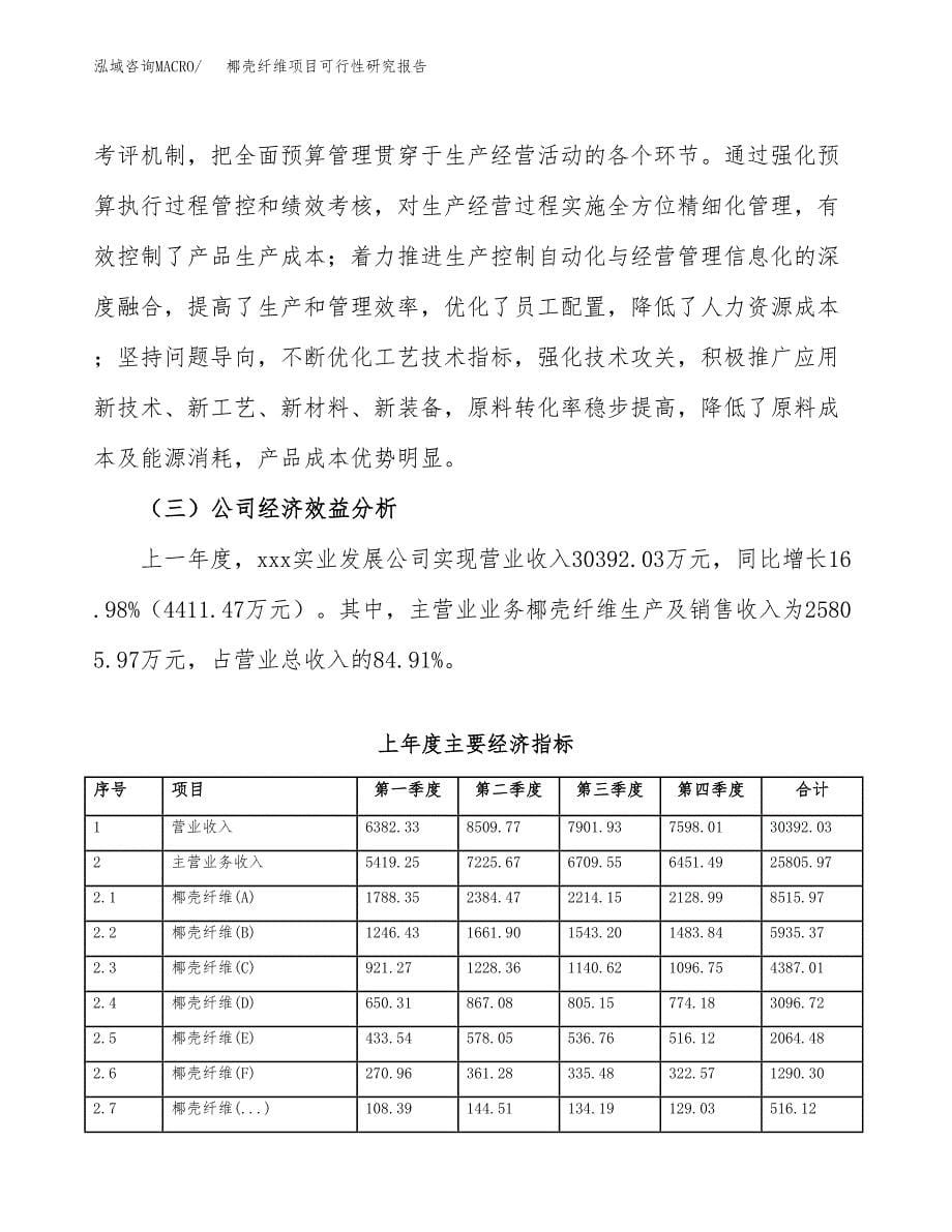 椰壳纤维项目可行性研究报告汇报设计.docx_第5页