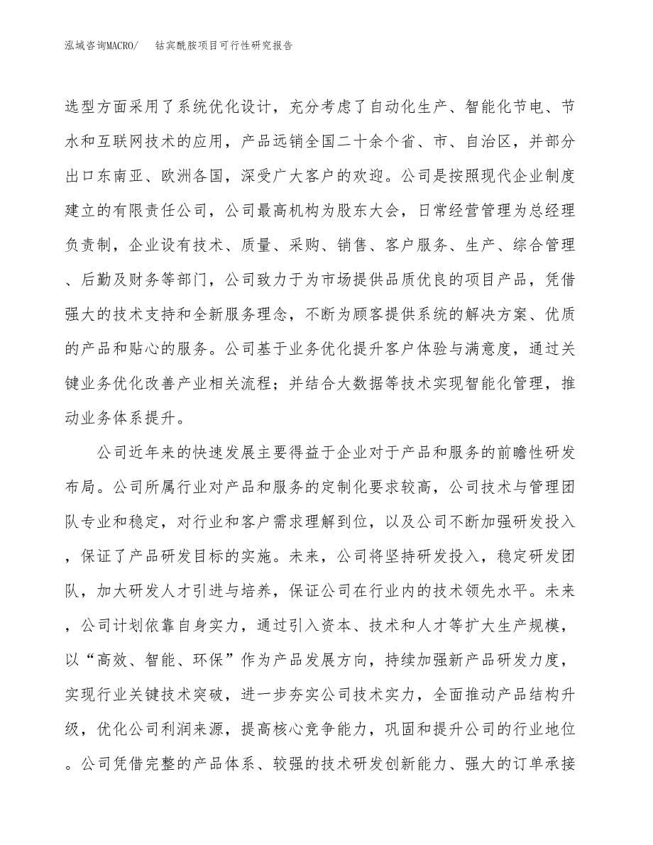 钴宾酰胺项目可行性研究报告汇报设计.docx_第5页