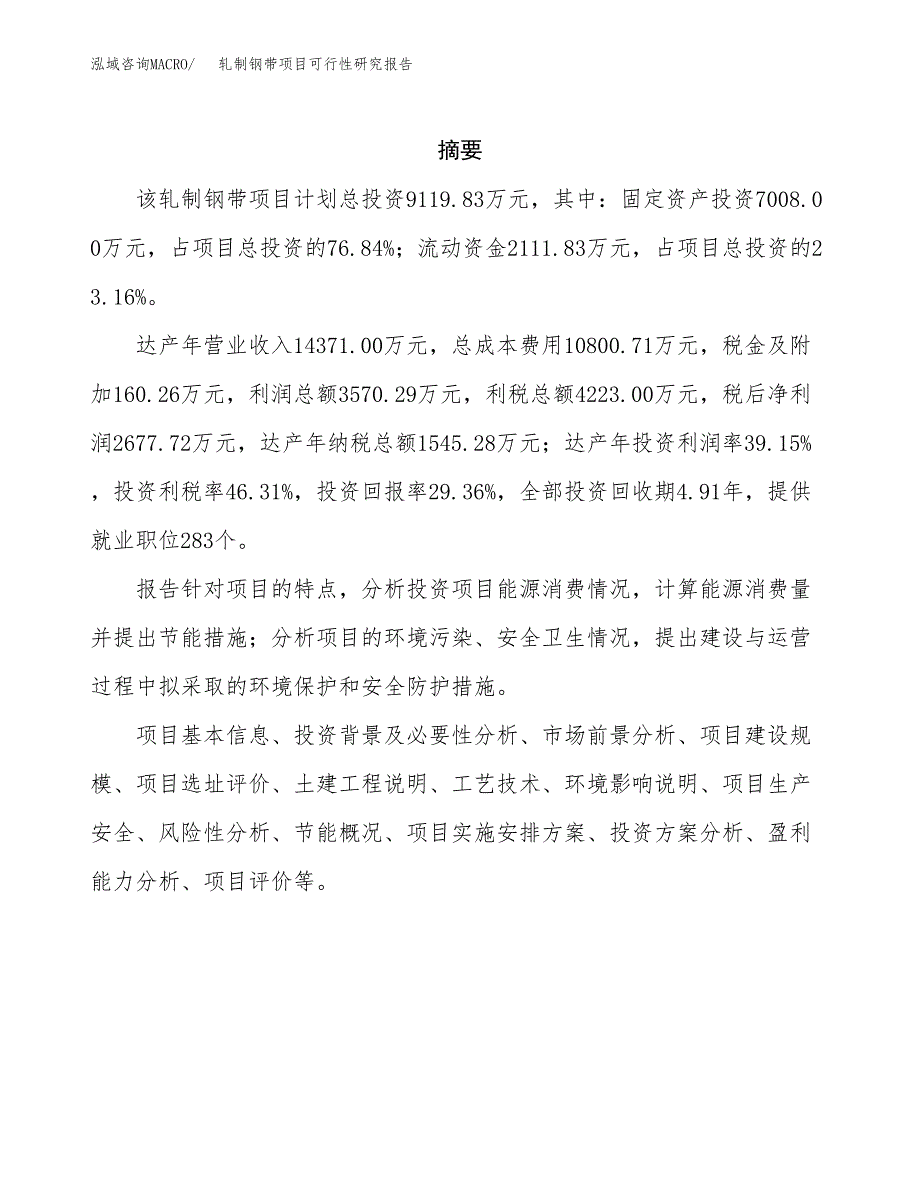 轧制钢带项目可行性研究报告汇报设计.docx_第2页