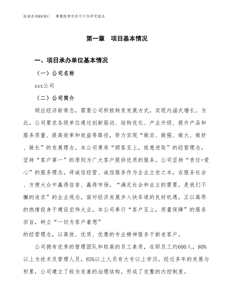 薄膜胶带项目可行性研究报告汇报设计.docx_第4页