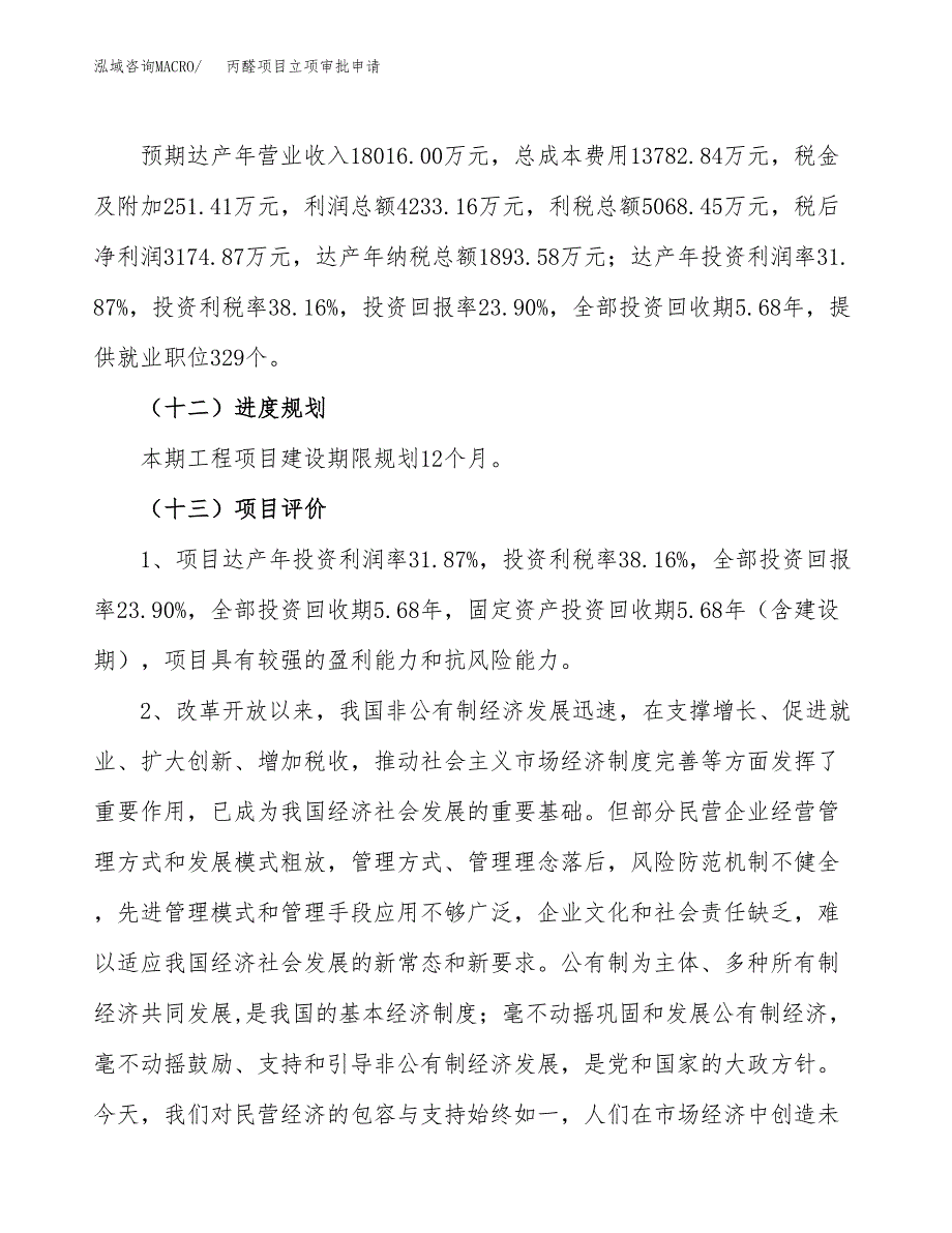 丙醛项目立项审批申请（模板）_第4页