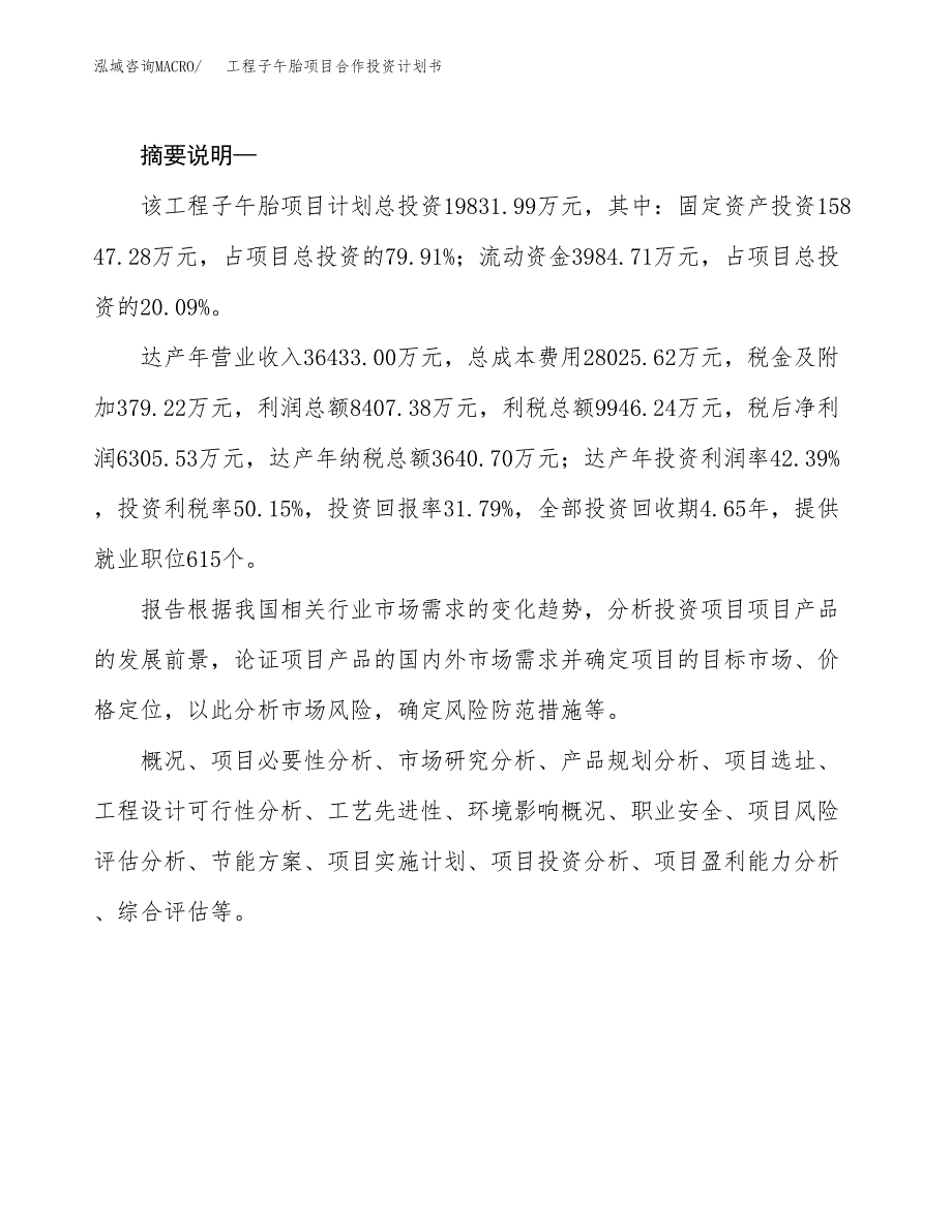 工程子午胎项目合作投资计划书.docx_第2页