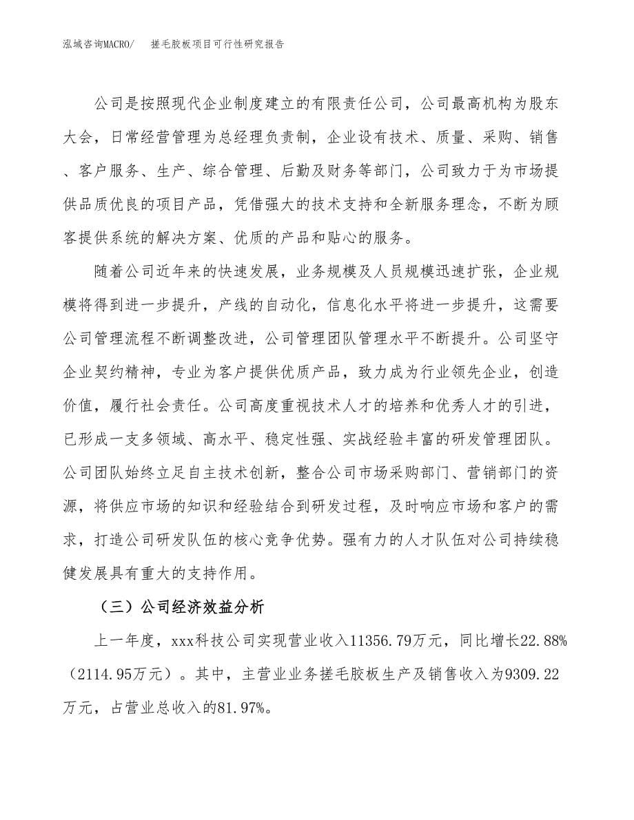 搓毛胶板项目可行性研究报告汇报设计.docx_第5页