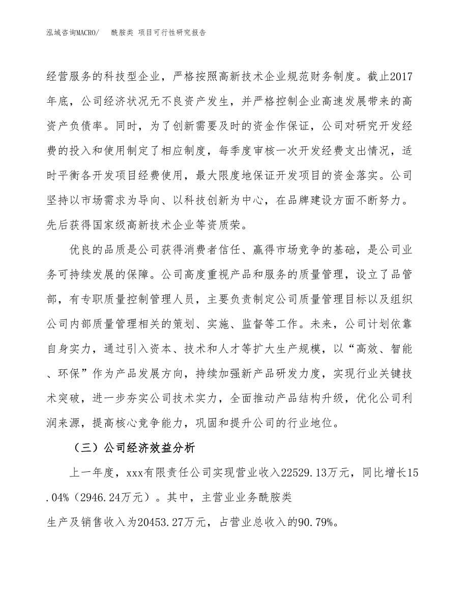 酰胺类 项目可行性研究报告汇报设计.docx_第5页