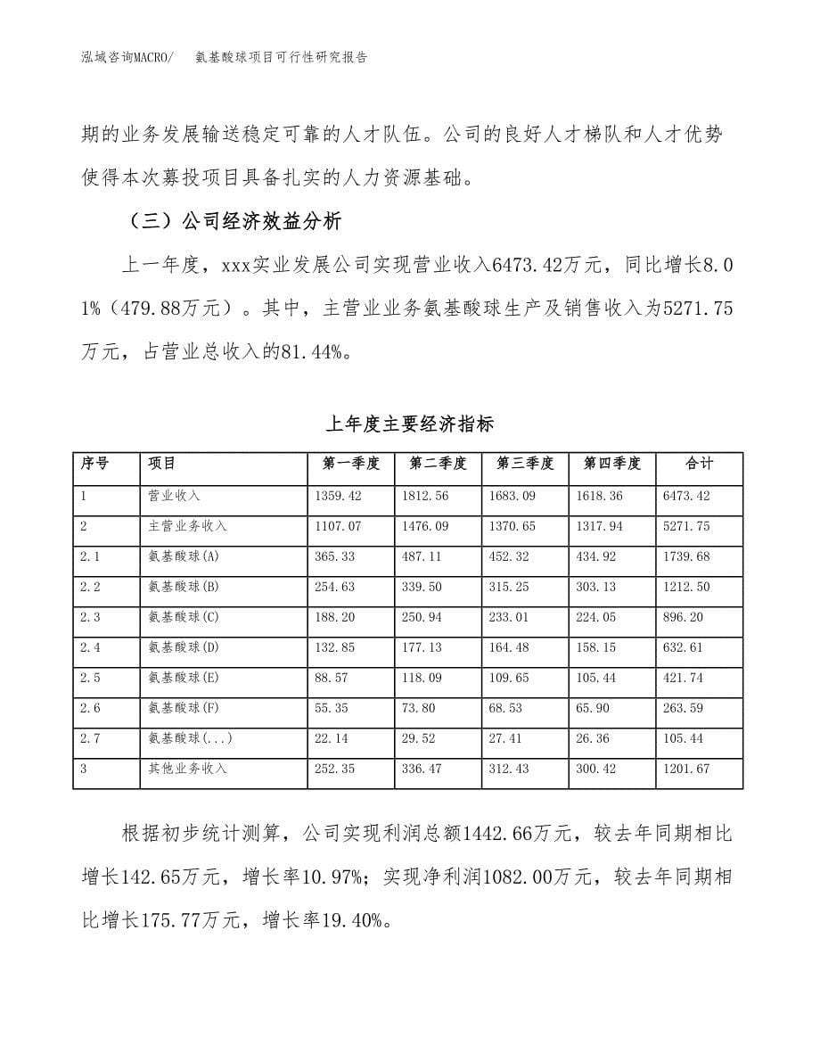 氨基酸球项目可行性研究报告汇报设计.docx_第5页