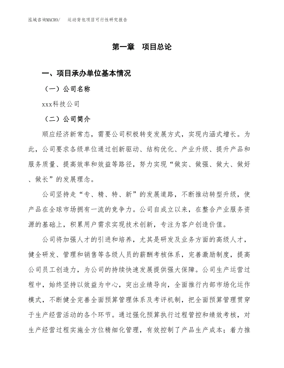 运动背包项目可行性研究报告汇报设计.docx_第4页