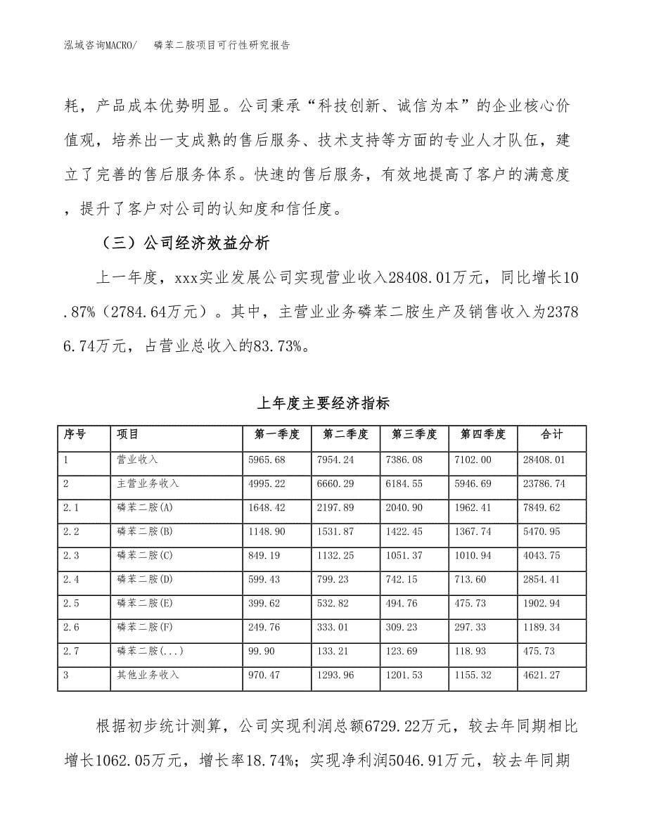 磷苯二胺项目可行性研究报告汇报设计.docx_第5页