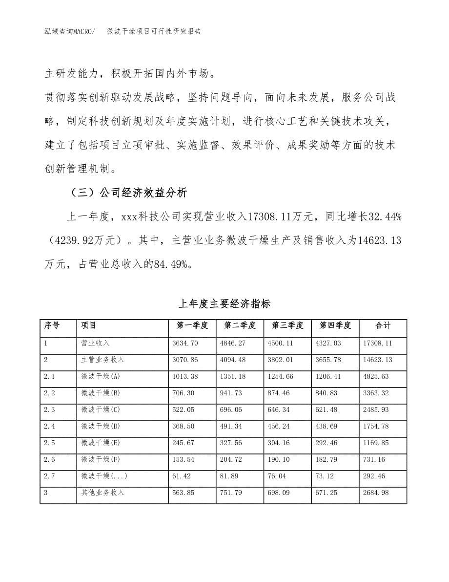 微波干燥项目可行性研究报告汇报设计.docx_第5页