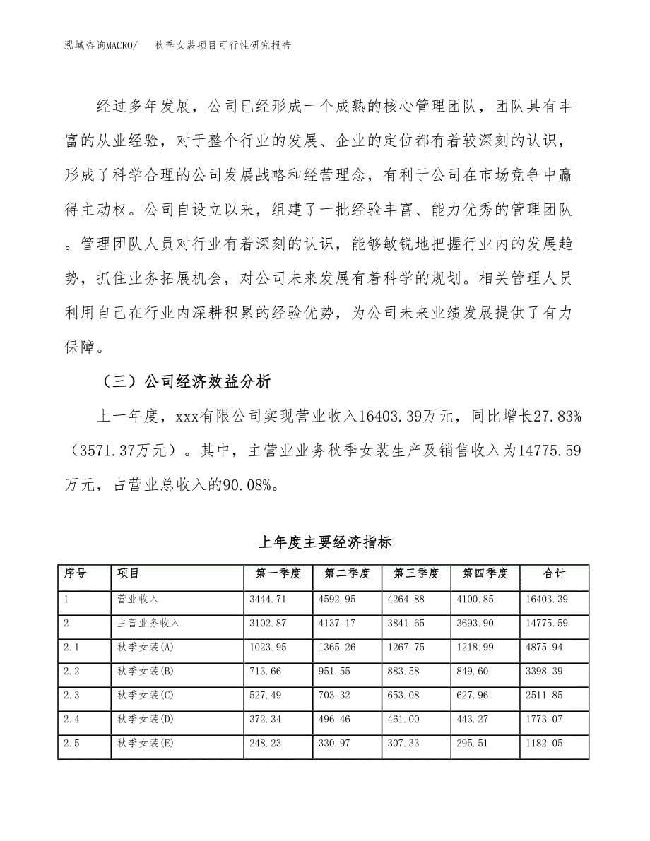 秋季女装项目可行性研究报告汇报设计.docx_第5页