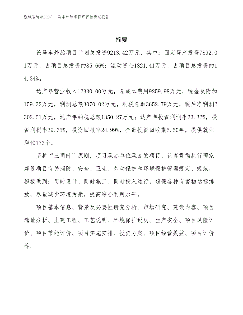 马车外胎项目可行性研究报告汇报设计.docx_第2页