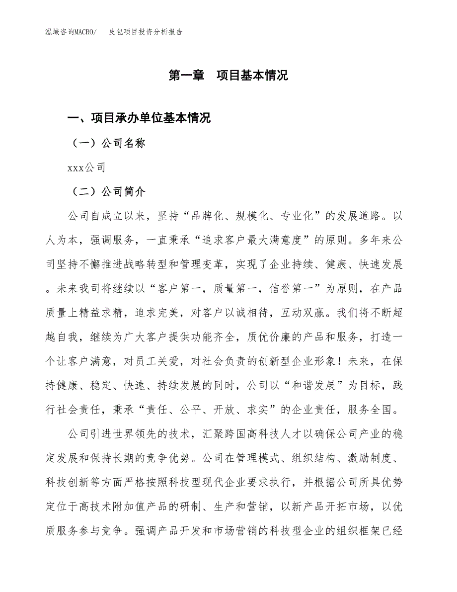 皮包项目投资分析报告（总投资13000万元）（54亩）_第2页