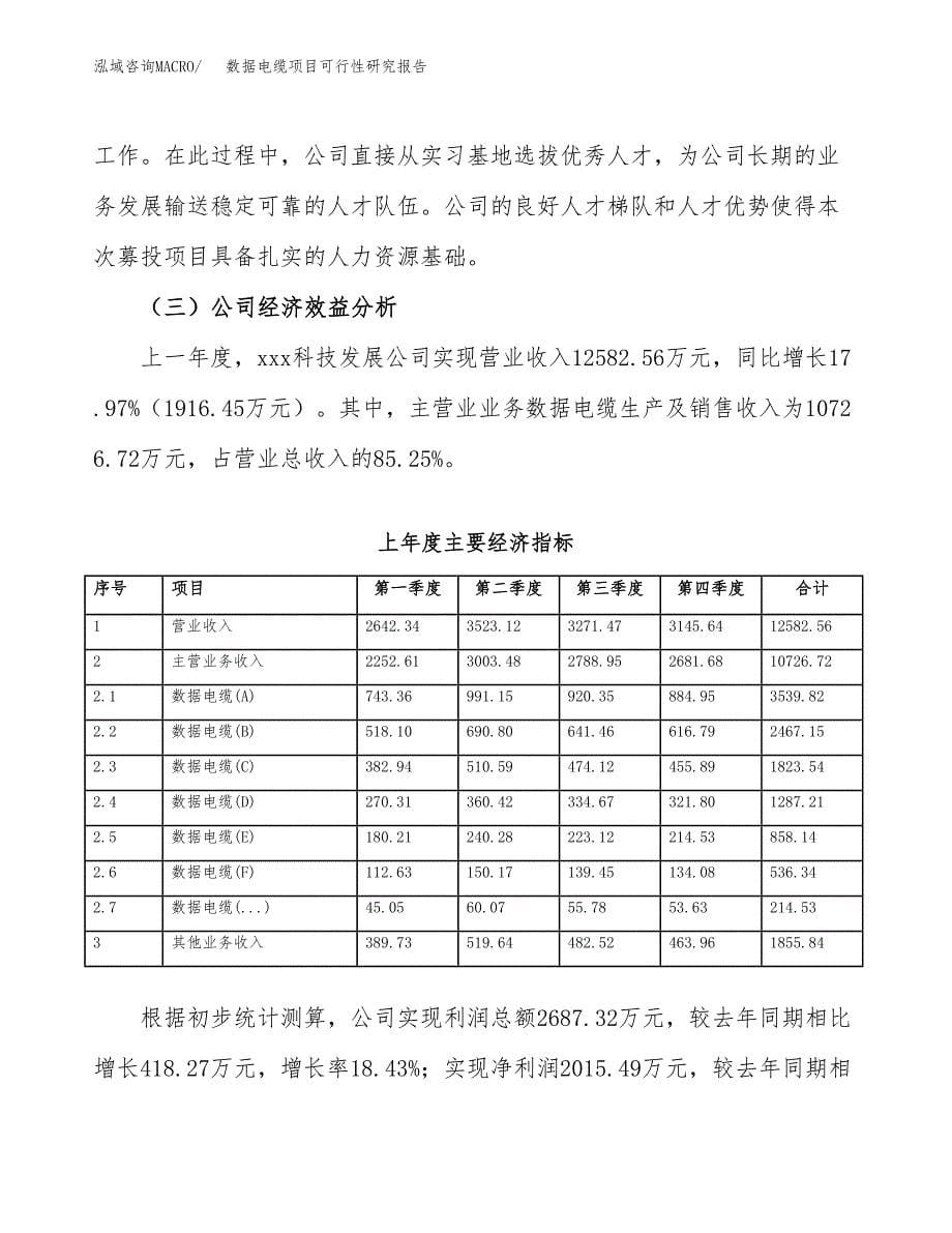 数据电缆项目可行性研究报告汇报设计.docx_第5页