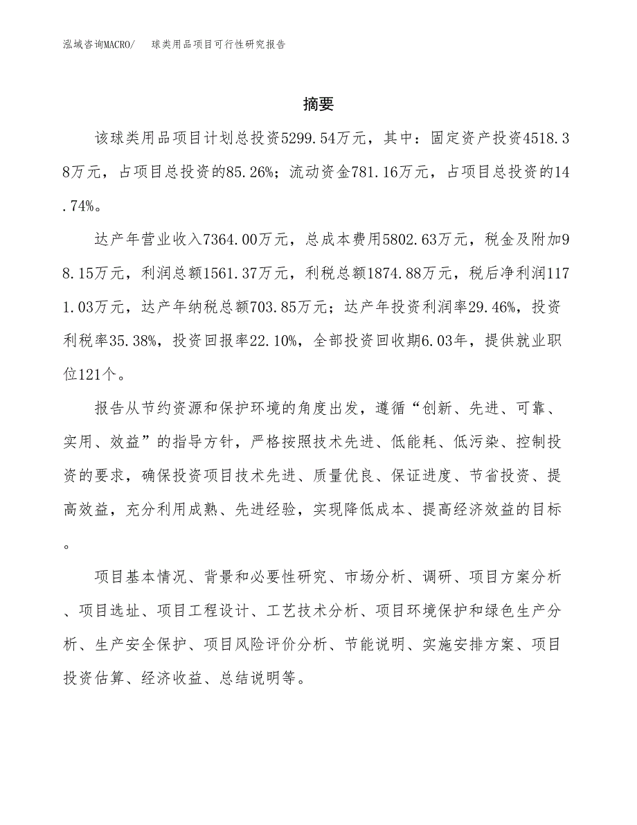 球类用品项目可行性研究报告汇报设计.docx_第2页