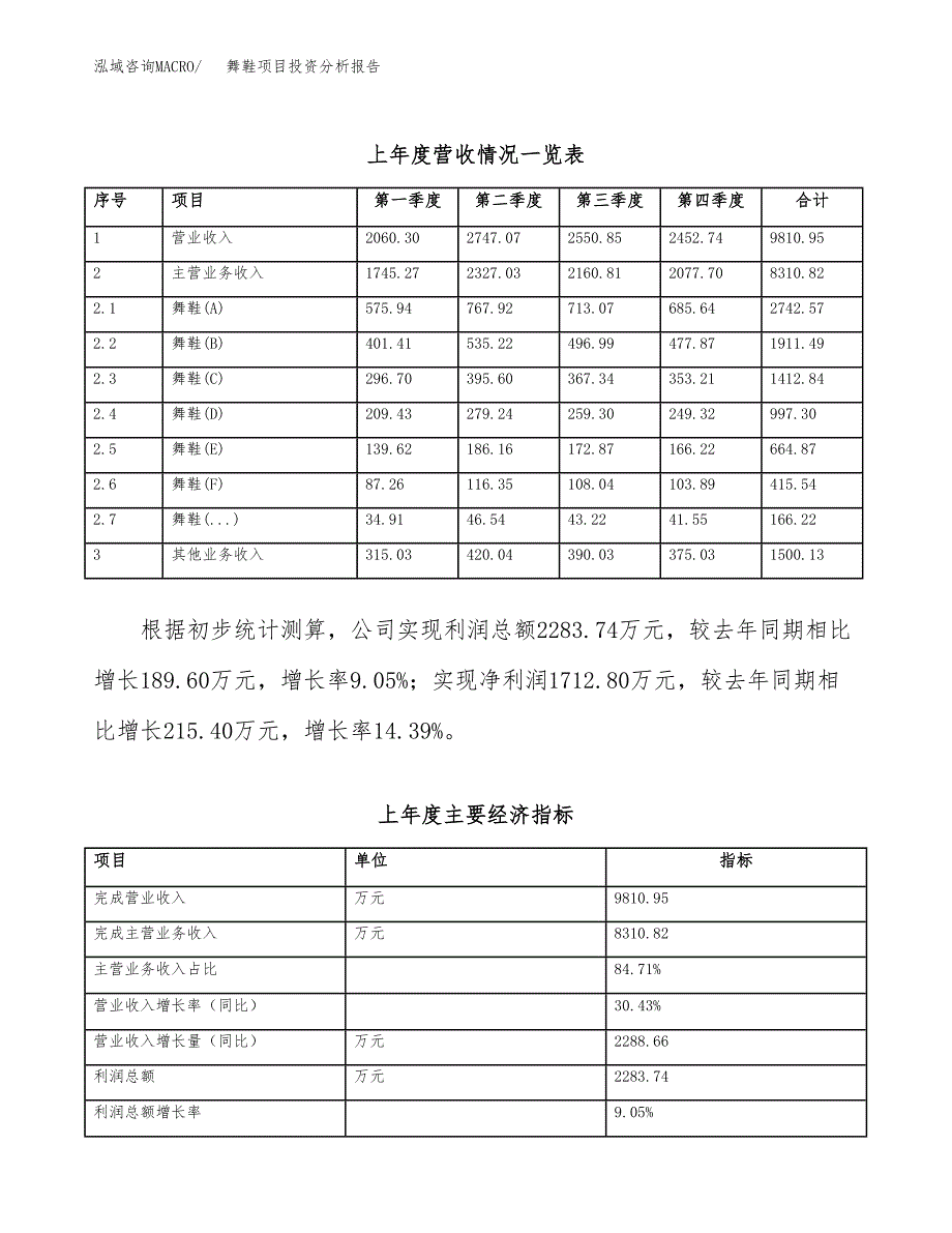 舞鞋项目投资分析报告（总投资6000万元）（29亩）_第3页