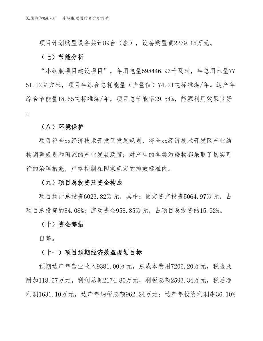 小钢瓶项目投资分析报告（总投资6000万元）（31亩）_第5页