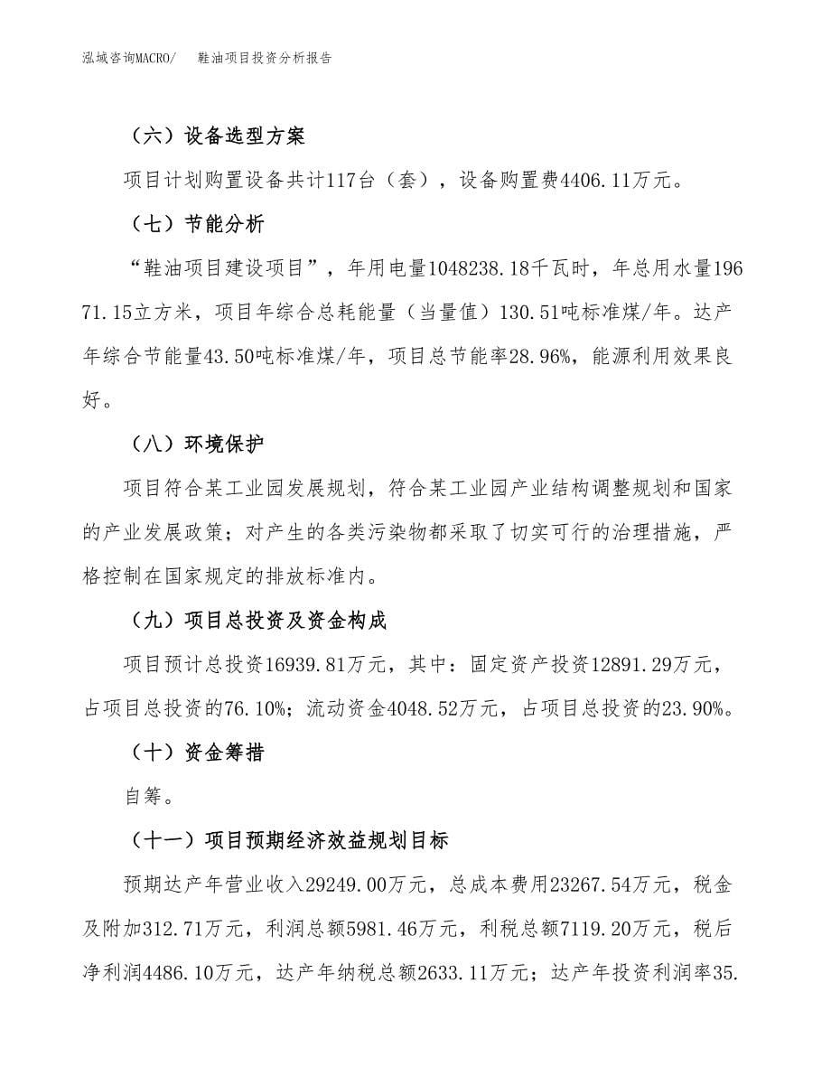 鞋油项目投资分析报告（总投资17000万元）（80亩）_第5页