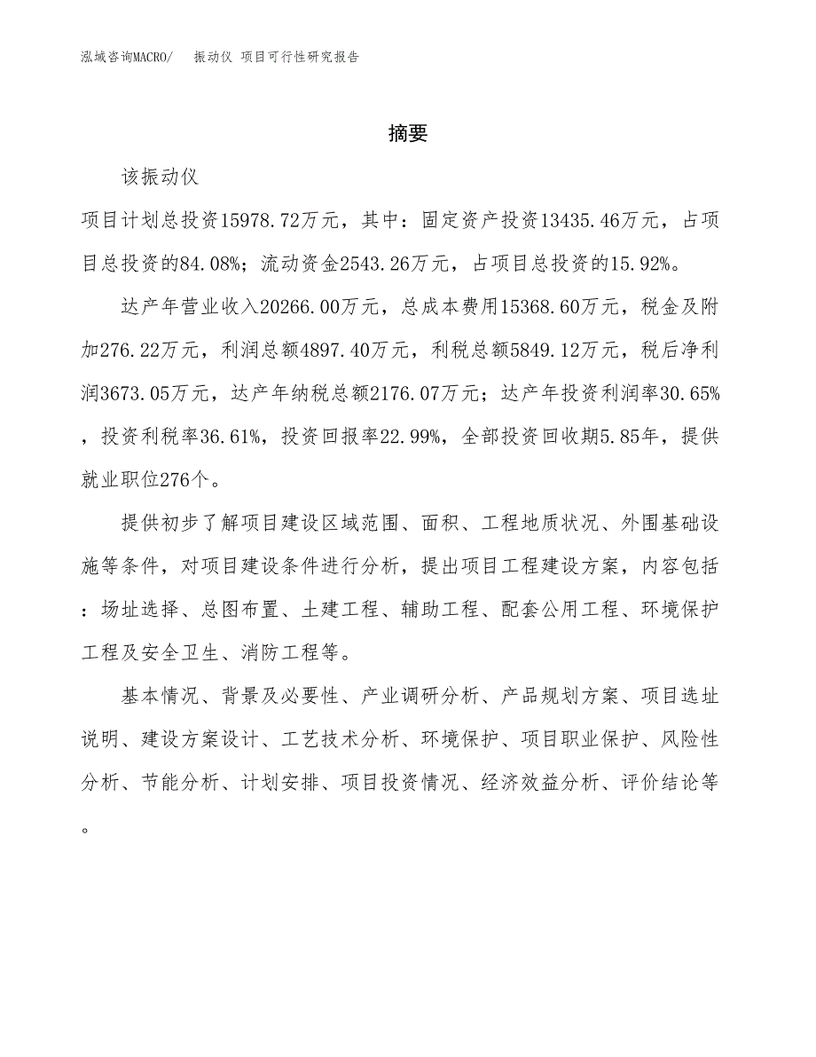 振动仪 项目可行性研究报告汇报设计.docx_第2页