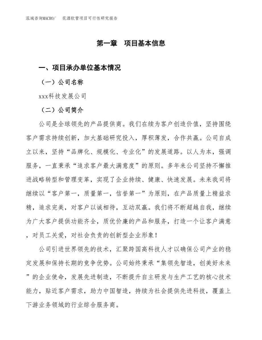 花洒软管项目可行性研究报告汇报设计.docx_第5页