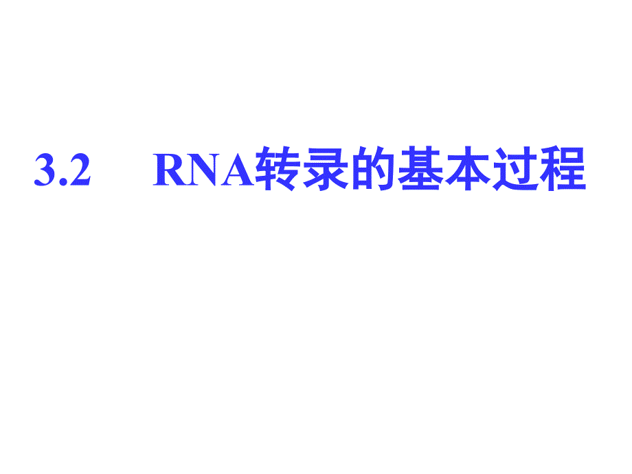 分子生物学3.2._第3页