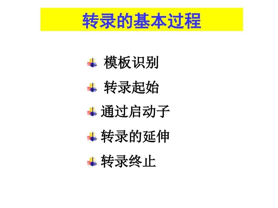 分子生物学3.2._第5页