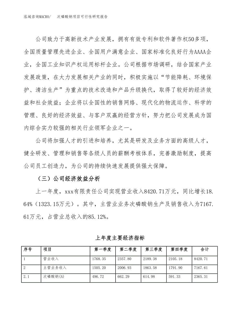 次磷酸钠项目可行性研究报告汇报设计.docx_第5页